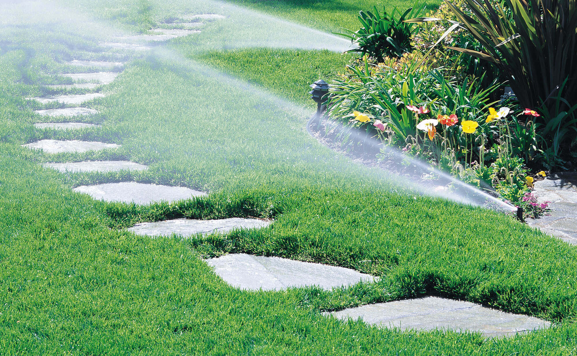 Sprinkler System Installation