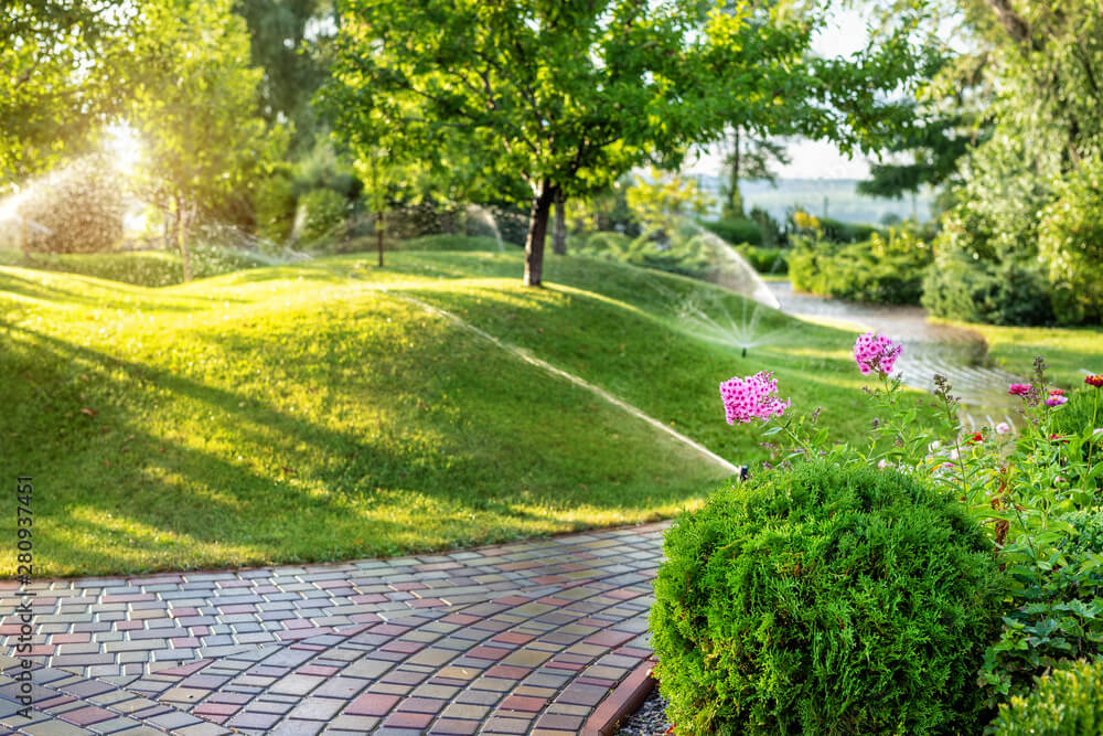Summer lawn care tips north east U.S img
